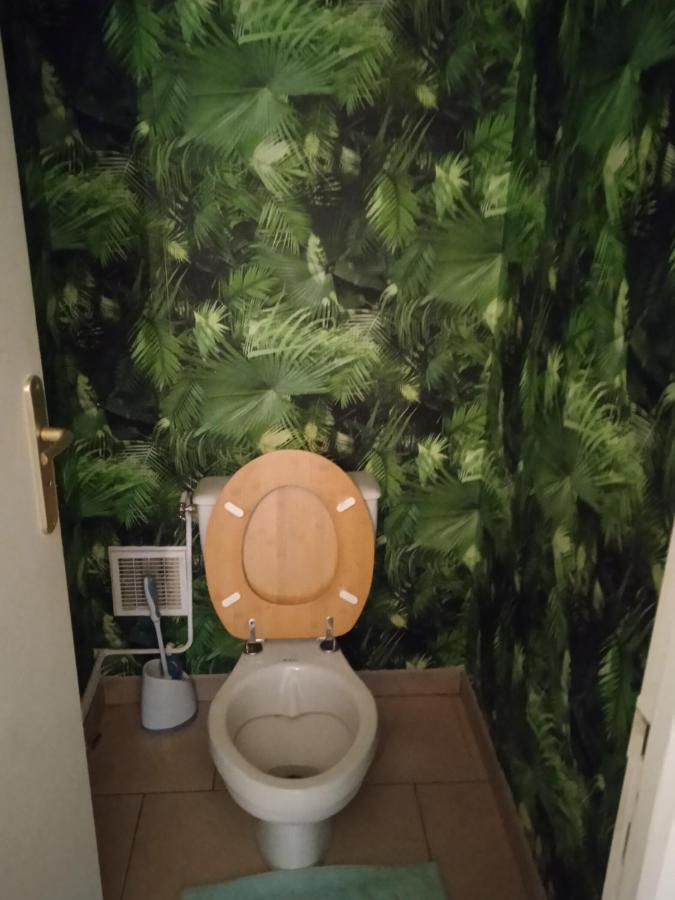 Agreable Maison Entre Zoo Et Chateaux Le Controis-en-Sologne 外观 照片